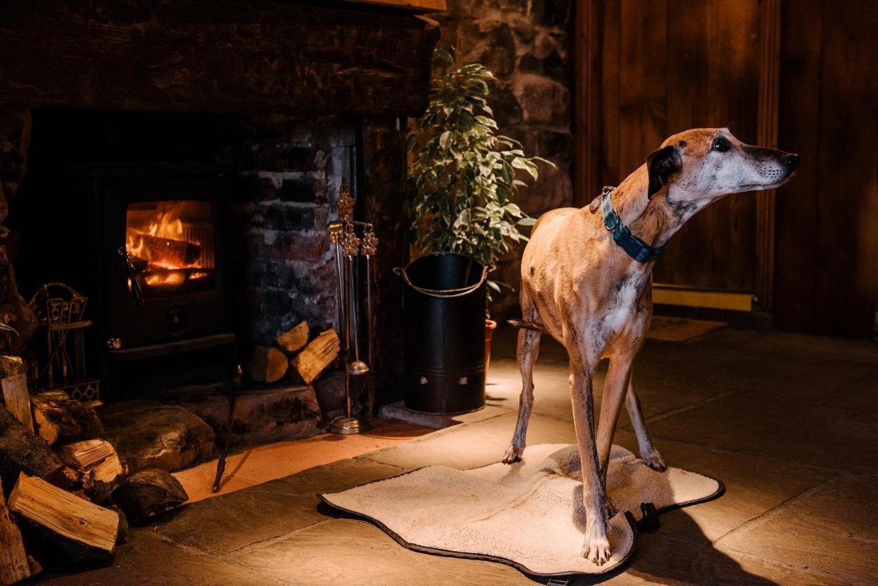 Newton Hall Chathill エクステリア 写真